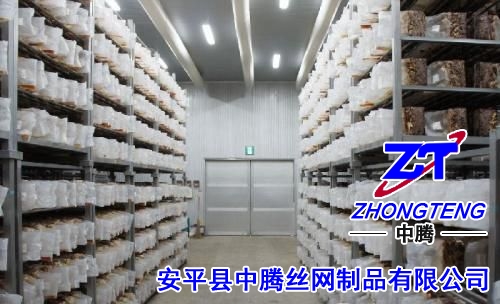 钢筋网厂家_钢筋网片_电焊网片_种植网片应用范围及特点 钢筋网厂家_钢筋网片_电焊网片_种植网片应用范围及特点